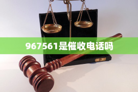 龙海为什么选择专业追讨公司来处理您的债务纠纷？